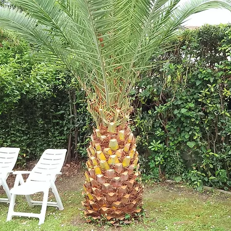 Daire Casina Del France Forte dei Marmi